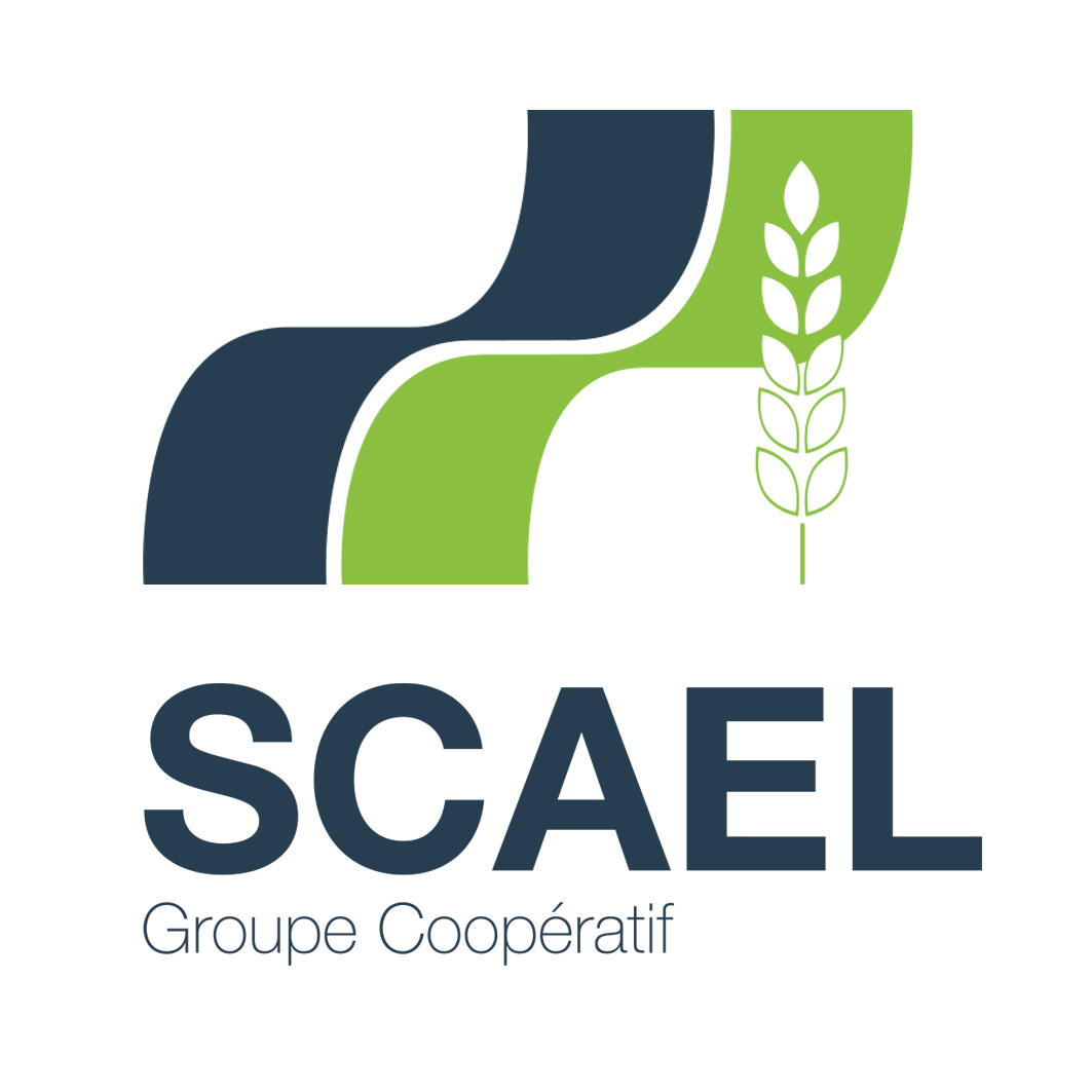 GROUPE SCAEL